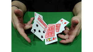 CIB - Cards in Bag