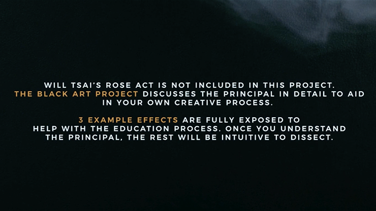 Black Art Project
