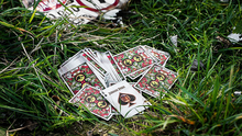 Load image into Gallery viewer, Jurassic Park Playing Cards