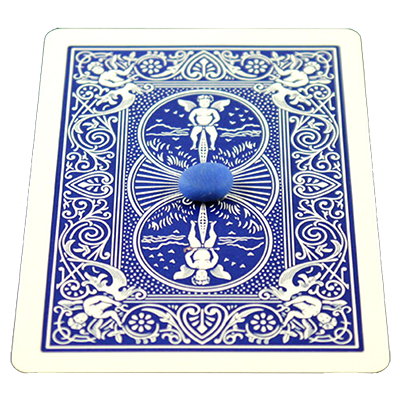 Card on Ceiling Wax
