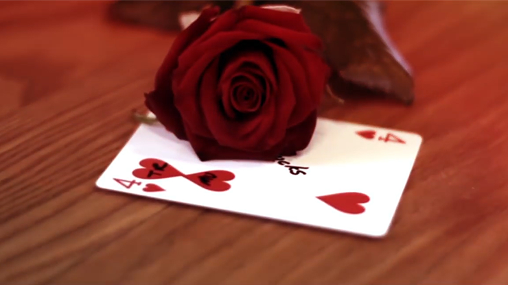 ONE Two of Hearts