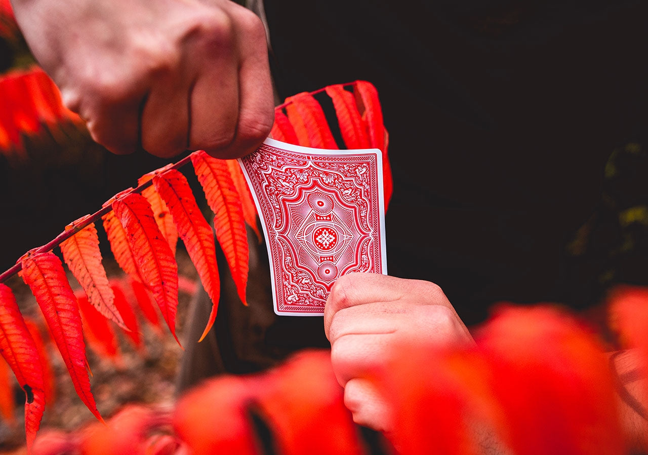 Stretch Cards