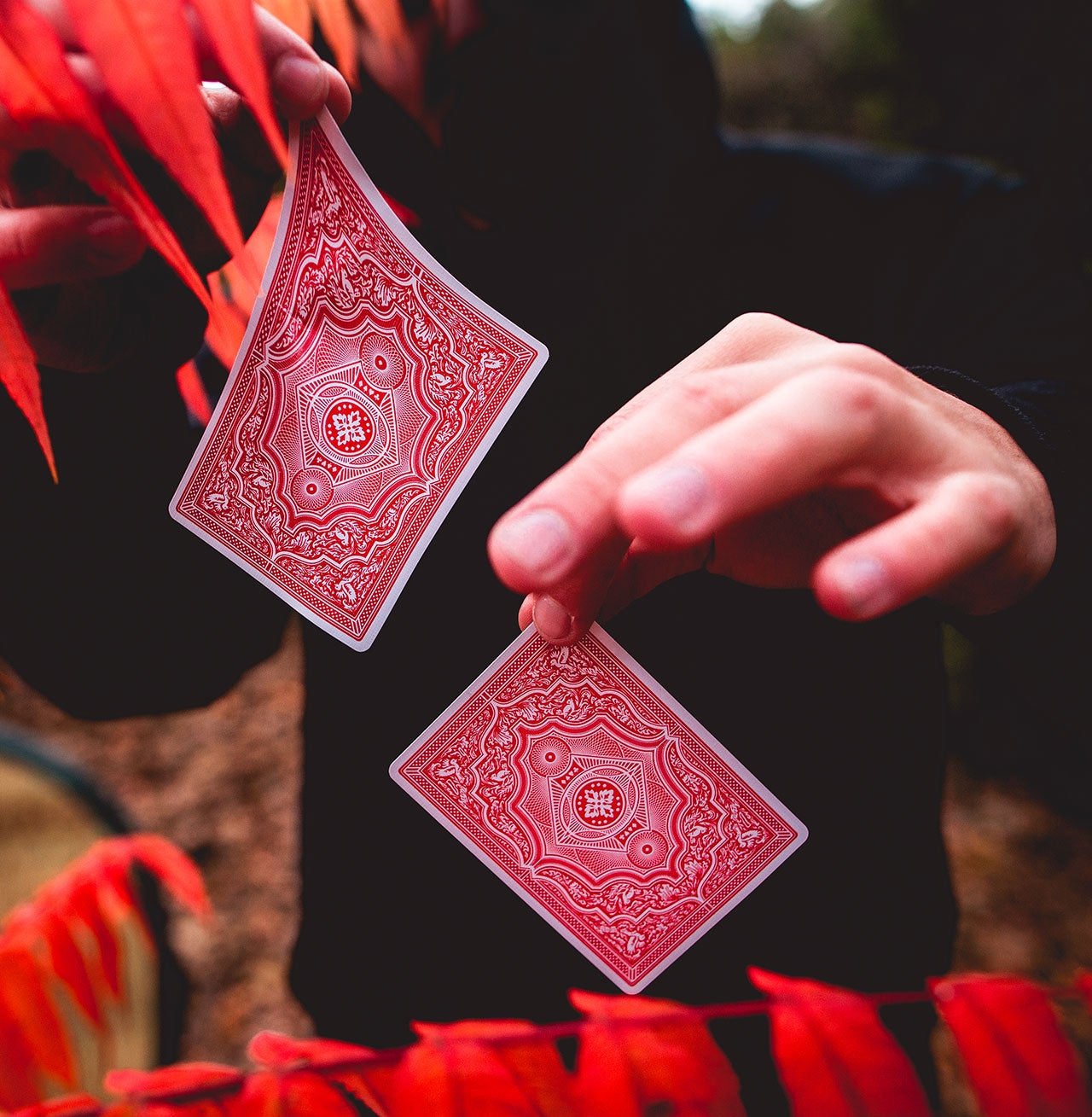 Stretch Cards