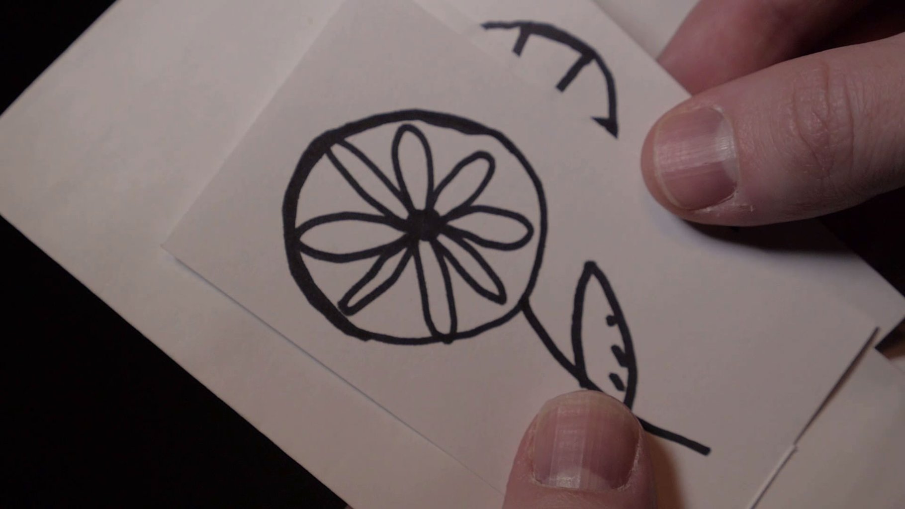 Akkelian Envelopes